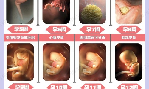 宝宝六个月到九个月长了一斤正常吗-宝宝6个月长9斤正常吗网 - 为你提供六个月到九个月长多少正常、宝宝6个月长9斤正常吗为什么
